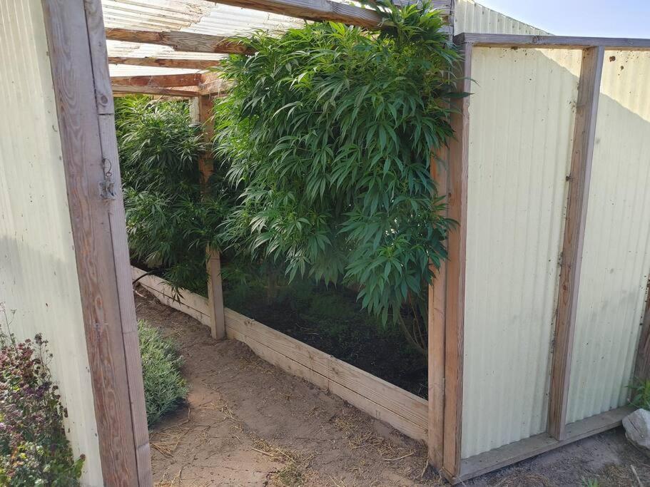 Holiday home The Ganja Getaway