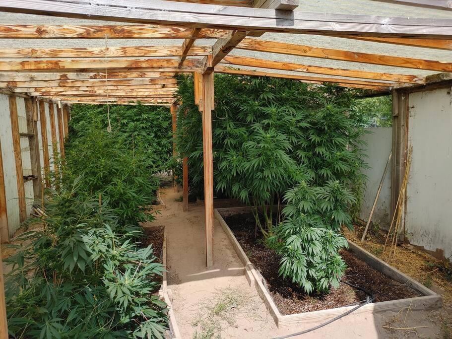 The Ganja Getaway Holiday home Arroyo Grande